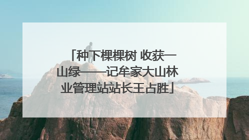 种下棵棵树 收获一山绿——记牟家大山林业管理站站长王占胜