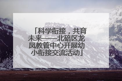 科学衔接，共育未来——北碚区龙凤教管中心开展幼小衔接交流活动