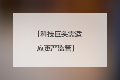 科技巨头需适应更严监管
