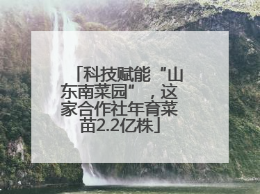 科技赋能“山东南菜园”，这家合作社年育菜苗2.2亿株