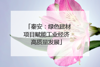 秦安：绿色建材项目赋能工业经济高质量发展