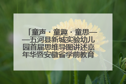 童声・童趣・童思——五河县新城实验幼儿园首届思维导图讲述嘉年华暨安徽省学前教育教研基地园项目阶段性成果展示活动
