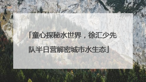 童心探秘水世界，徐汇少先队半日营解密城市水生态