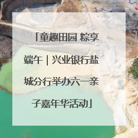 童趣田园 粽享端午｜兴业银行盐城分行举办六一亲子嘉年华活动