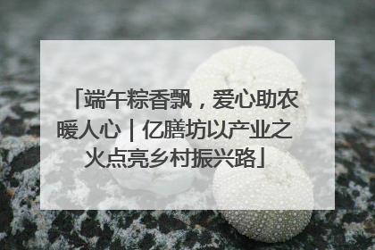 端午粽香飘，爱心助农暖人心｜亿膳坊以产业之火点亮乡村振兴路