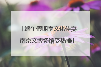 端午假期享文化佳宴 南京文博场馆受热捧