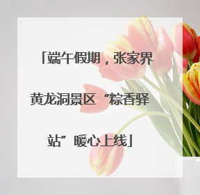 端午假期，张家界黄龙洞景区“粽香驿站”暖心上线