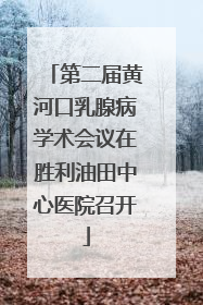 第二届黄河口乳腺病学术会议在胜利油田中心医院召开