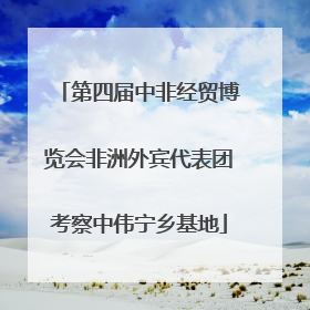 第四届中非经贸博览会非洲外宾代表团考察中伟宁乡基地