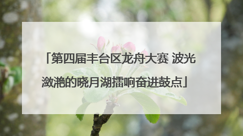 第四届丰台区龙舟大赛 波光潋滟的晓月湖擂响奋进鼓点