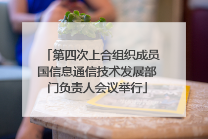 第四次上合组织成员国信息通信技术发展部门负责人会议举行