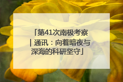 第41次南极考察｜通讯：向着暗夜与深海的科研坚守