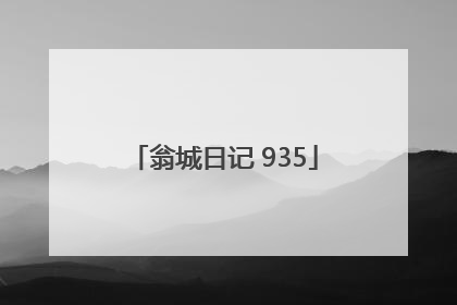 翁城日记 935