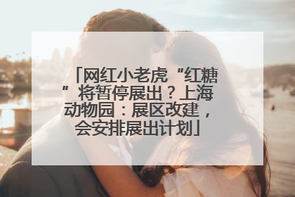 网红小老虎“红糖”将暂停展出？上海动物园：展区改建，会安排展出计划
