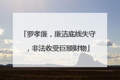 罗孝廉，廉洁底线失守，非法收受巨额财物