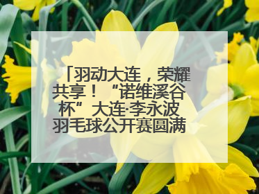 羽动大连，荣耀共享！“诺维溪谷杯”大连·李永波羽毛球公开赛圆满落幕！