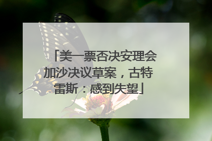 美一票否决安理会加沙决议草案，古特雷斯：感到失望