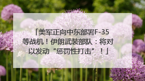 美军正向中东部署F-35等战机！伊朗武装部队：将对以发动“惩罚性打击”！
