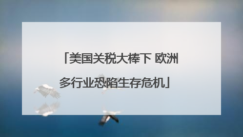 美国关税大棒下 欧洲多行业恐陷生存危机