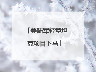 美陆军轻型坦克项目下马