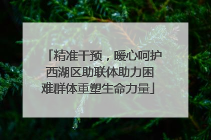 精准干预，暖心呵护 西湖区助联体助力困难群体重塑生命力量