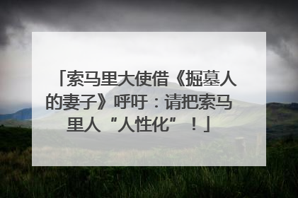 索马里大使借《掘墓人的妻子》呼吁：请把索马里人“人性化”！