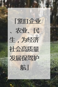 紧盯企业、农业、民生，为经济社会高质量发展保驾护航