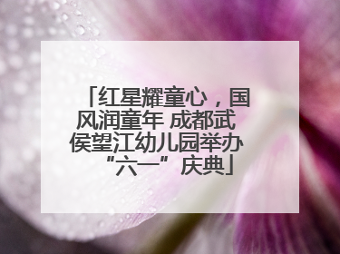 红星耀童心，国风润童年 成都武侯望江幼儿园举办“六一”庆典