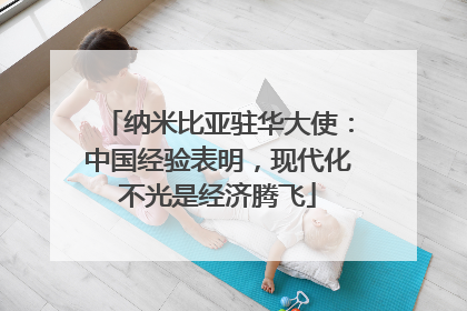 纳米比亚驻华大使：中国经验表明，现代化不光是经济腾飞