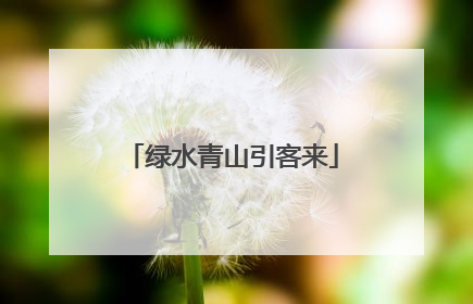 绿水青山引客来
