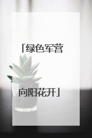 绿色军营 向阳花开