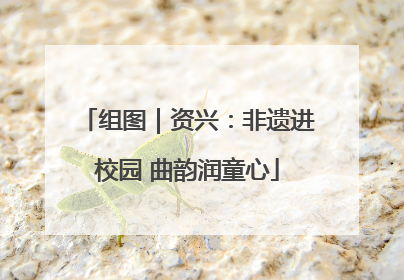 组图｜资兴：非遗进校园 曲韵润童心