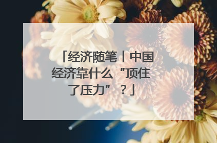 经济随笔丨中国经济靠什么“顶住了压力”？