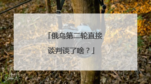 俄乌第二轮直接谈判谈了啥？