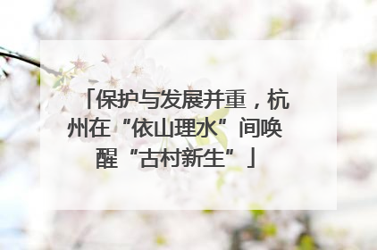 保护与发展并重，杭州在“依山理水”间唤醒“古村新生”