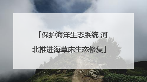 保护海洋生态系统 河北推进海草床生态修复