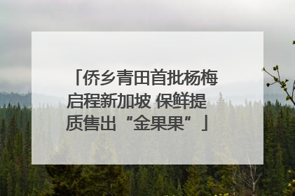 侨乡青田首批杨梅启程新加坡 保鲜提质售出“金果果”