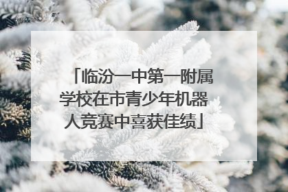 临汾一中第一附属学校在市青少年机器人竞赛中喜获佳绩