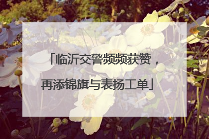 临沂交警频频获赞，再添锦旗与表扬工单