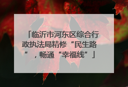 临沂市河东区综合行政执法局精修“民生路”，畅通“幸福线”