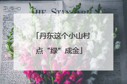 丹东这个小山村点“绿”成金
