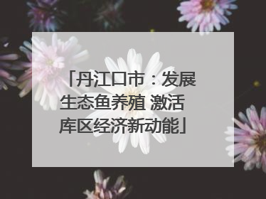 丹江口市：发展生态鱼养殖 激活库区经济新动能