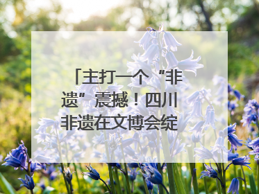 主打一个“非遗”震撼！四川非遗在文博会绽放时代光彩｜文博向“新”