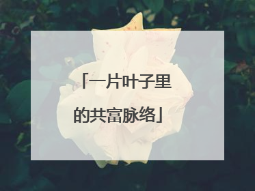 一片叶子里的共富脉络