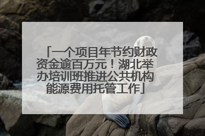 一个项目年节约财政资金逾百万元！湖北举办培训班推进公共机构能源费用托管工作