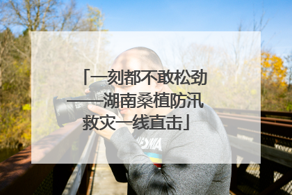 一刻都不敢松劲——湖南桑植防汛救灾一线直击