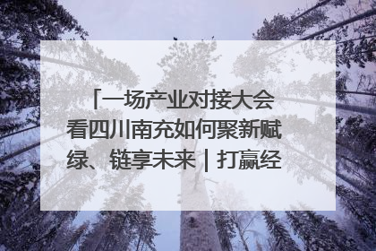 一场产业对接大会 看四川南充如何聚新赋绿、链享未来｜打赢经济发展翻身仗