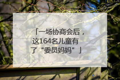 一场协商会后，这164名儿童有了“委员妈妈”