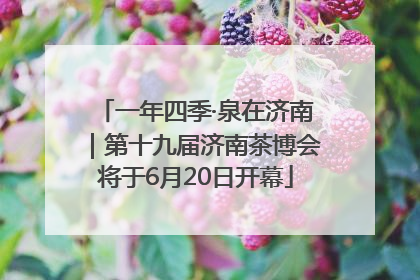 一年四季·泉在济南｜第十九届济南茶博会将于6月20日开幕