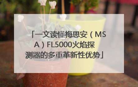 一文读懂梅思安（MSA）FL5000火焰探测器的多重革新性优势